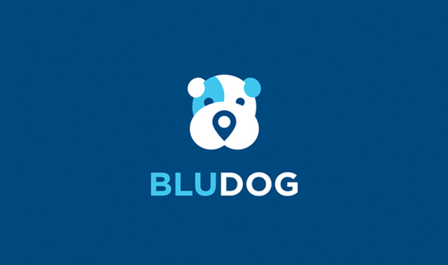 Apresentação Bludog